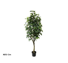 ARBOL FICUS 165 CM