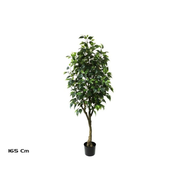 ARBOL FICUS 165 CM