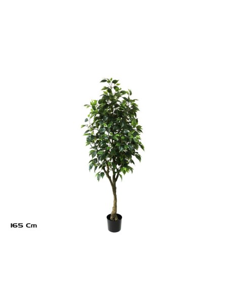 ARBOL FICUS 165 CM