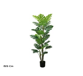 PLANTA MONSTERA X 25-155 CM