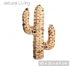 CACTUS FIBRA NATURAL  45X25XD9CM