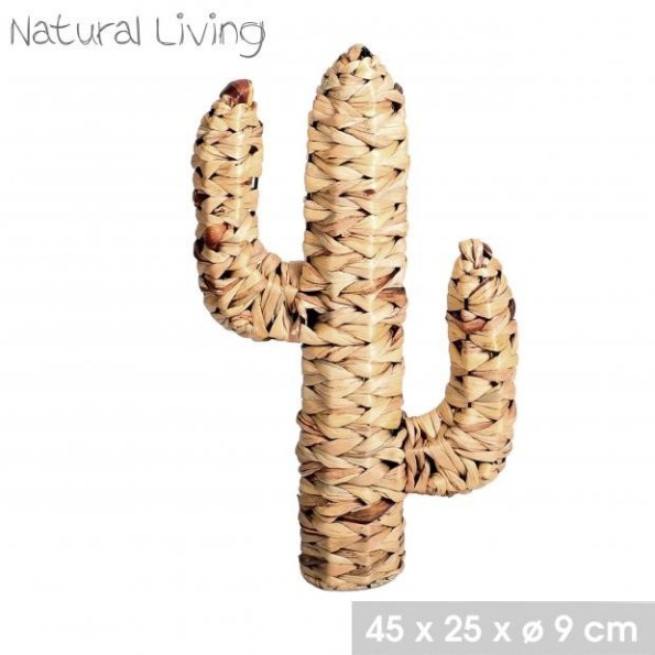 CACTUS FIBRA NATURAL  45X25XD9CM