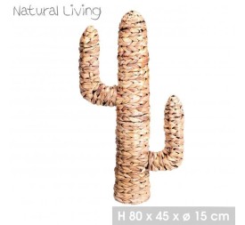 CACTUS FIBRA NATURAL 80X45XD15CM