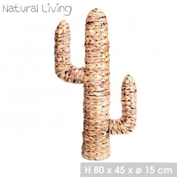 CACTUS FIBRA NATURAL 80X45XD15CM