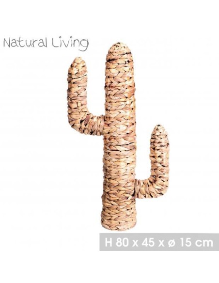 CACTUS FIBRA NATURAL 80X45XD15CM