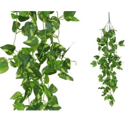 COLGANTE POTUS BICOLOR  X 168LVS 110CM