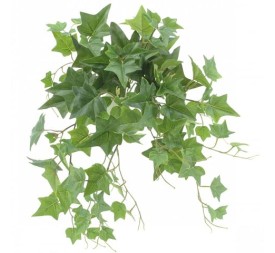 COLGANTE HIEDRA INGLESA (U.V.)