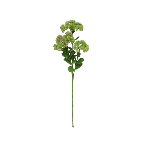 VARA SEDUM X 3-56 CM (VERDE)