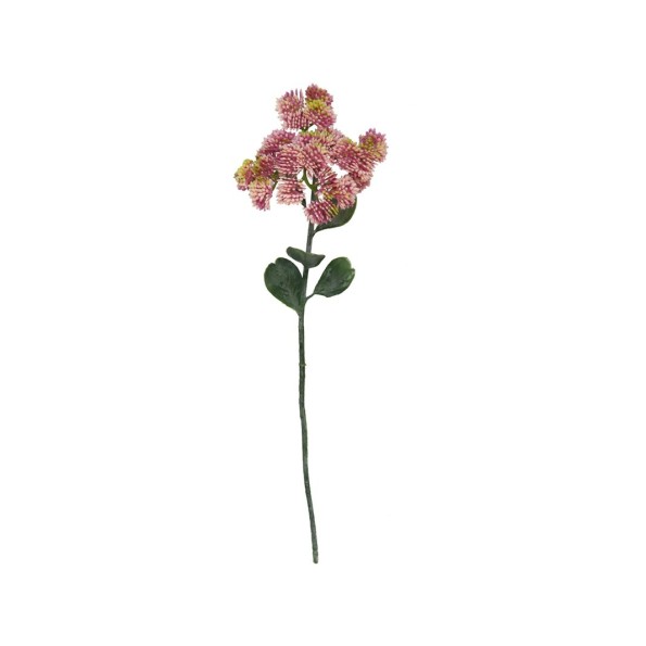 VARA SEDUM-46 CM (ROSA)