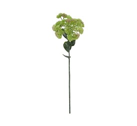 VARA SEDUM-46 CM (VERDE)