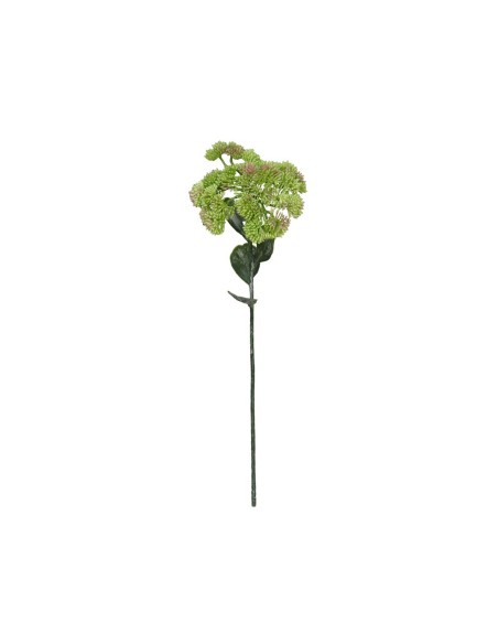 VARA SEDUM-46 CM (VERDE)