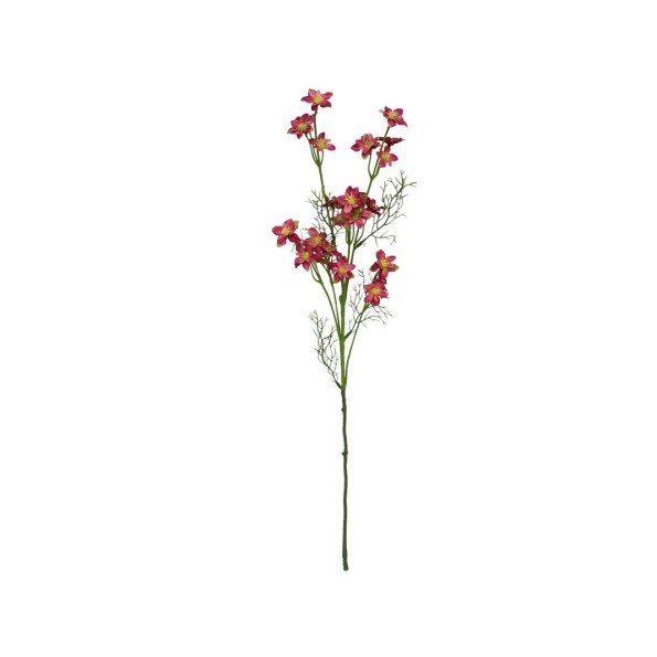 VARA WILD FLOWER- 68 CM (FUCSIA)