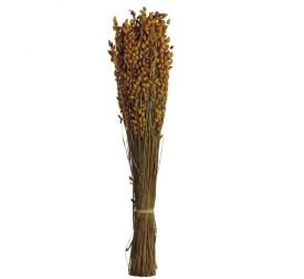 BRIZA MAXIMA 50 cms. AMARILLO (16)