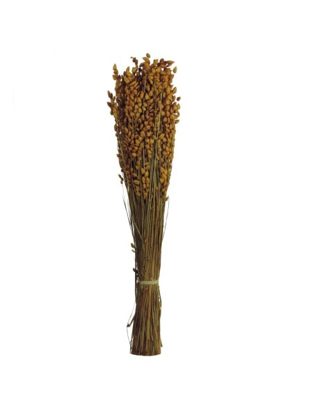 BRIZA MAXIMA 50 cms. AMARILLO (16) BRIZA MAXIMA 50 cms. AMARILLO (16)