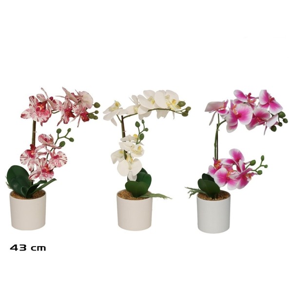 MACETA ORQUIDEAS X 10 R/TOUCH 43 CM (S)