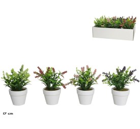 MACETA TERRACOTA LAVANDA SURT 17 CM