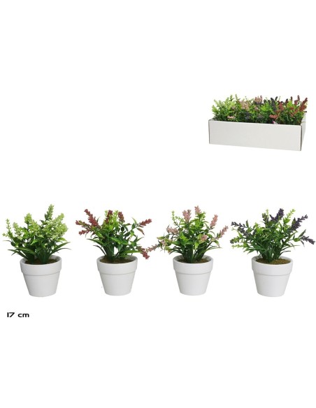 MACETA TERRACOTA LAVANDA SURT 17 CM