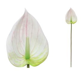 VARA ANTHURIUM 3D- 84 CM (BLANCO)