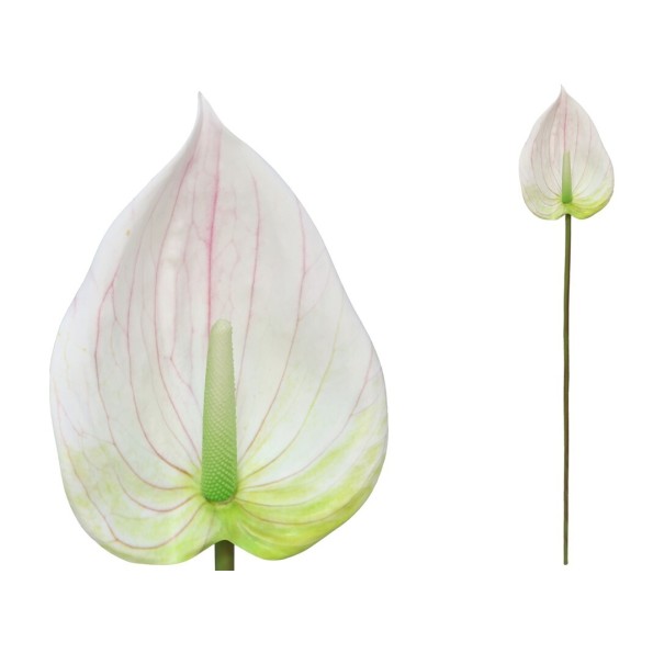 VARA ANTHURIUM 3D- 84 CM (BLANCO)