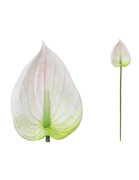 VARA ANTHURIUM 3D- 84 CM (BLANCO)