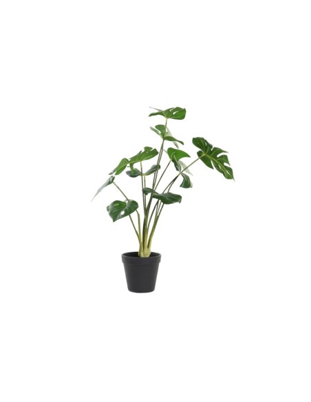 PLANTA PE 30X30X51 VERDE