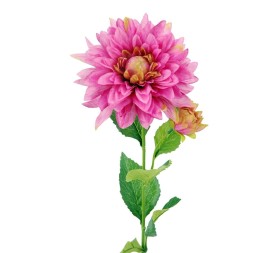 R.DALIA X2 LILA 66cm (16cm) (G594-3)