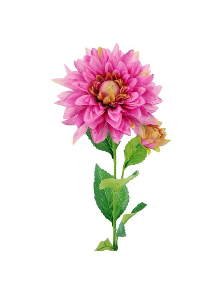 R.DALIA X2 LILA 66cm (16cm) (G594-3)