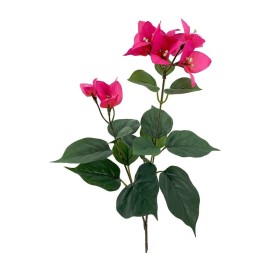 RAMA BUGANVILLA X2 FUCSHIA 72cm (B331-1)