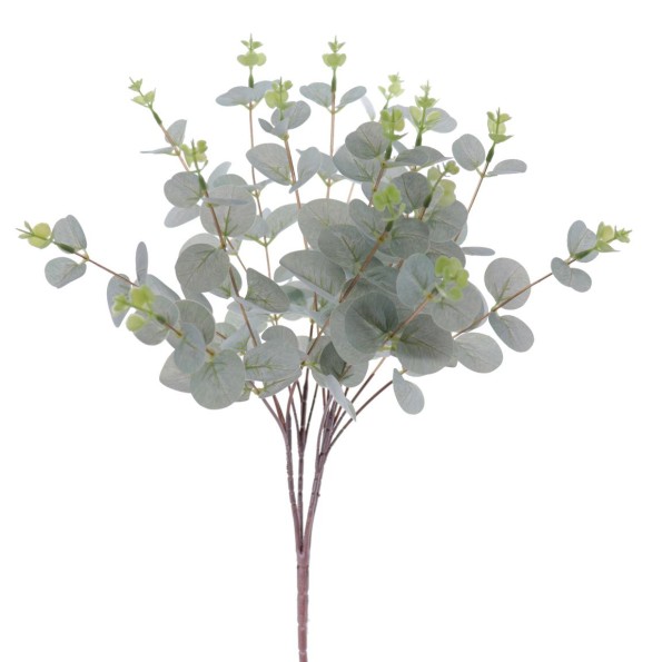 RAMO EUCALYPTUS (9381-23)