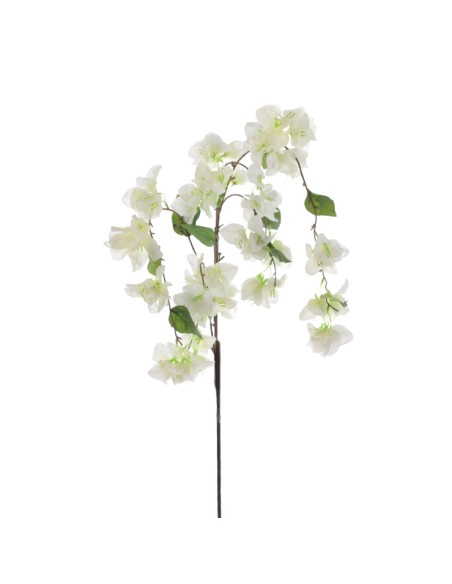 BOUGANVILLA COLGANTE (6251-11)