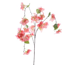 BOUGANVILLA COLGANTE (6251-24)