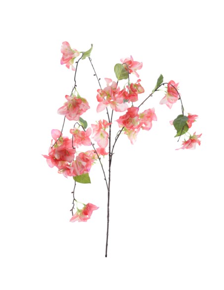 BOUGANVILLA COLGANTE (6251-24)