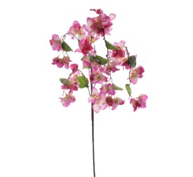 BOUGANVILLA COLGANTE (6251-57)