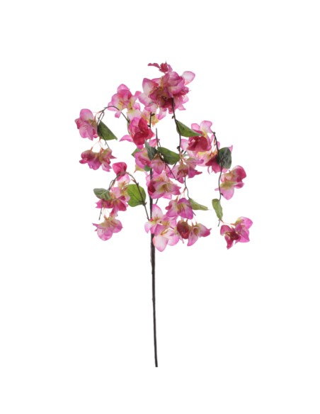 BOUGANVILLA COLGANTE (6251-57)