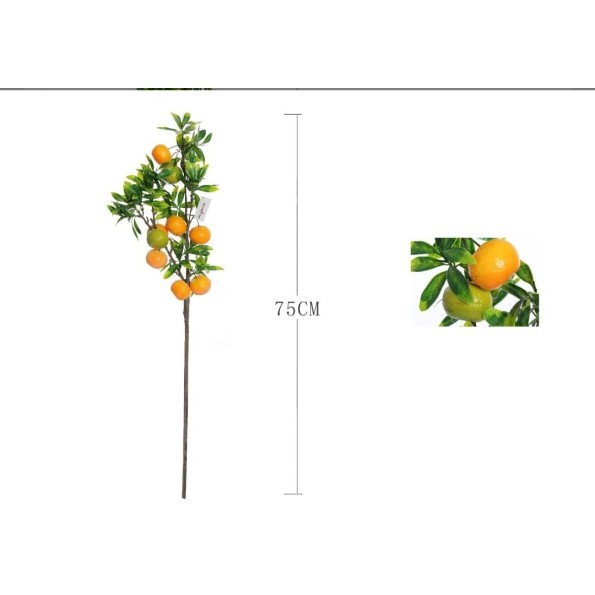 VARA DE MANDARINA X9 75CM