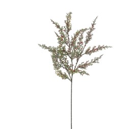 MINI BERRY (NAV-4619-08)