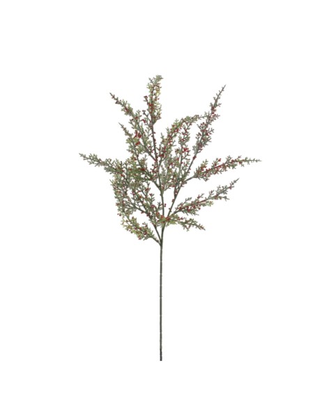 MINI BERRY (NAV-4619-08)