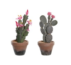 PLANTA PP EVA 15X15X29 CACTUS 2 SURT.