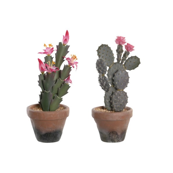 PLANTA PP EVA 15X15X29 CACTUS 2 SURT.