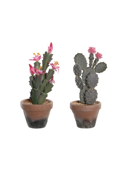 PLANTA PP EVA 15X15X29 CACTUS 2 SURT.