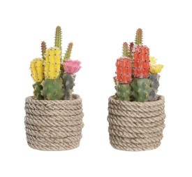 PLANTA PE EVA 9,5X9X18 CACTUS 2 SURT.