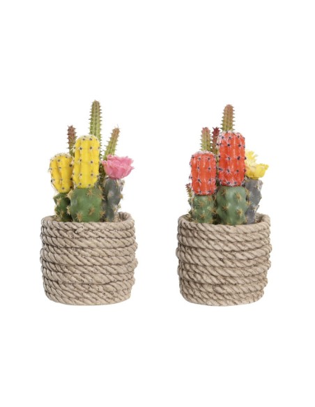 PLANTA PE EVA 9,5X9X18 CACTUS 2 SURT.