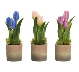 PLANTA PP ESPUMA 12X12X25 3 SURT.