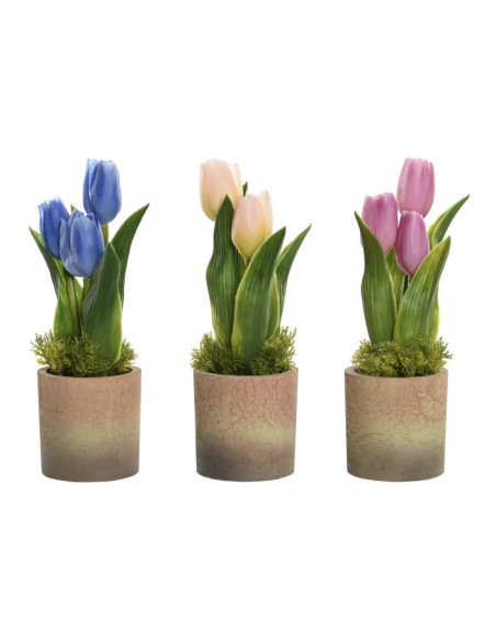 PLANTA PP ESPUMA 12X12X25 3 SURT.