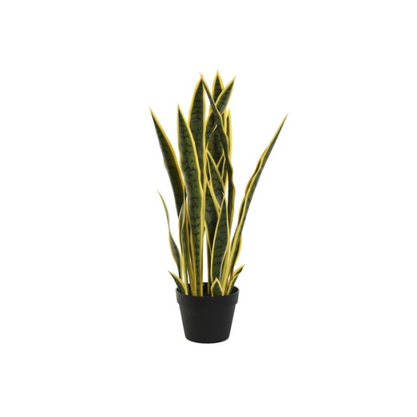 PLANTA PE PP 30X30X74 SANSEVIERIA VERDE