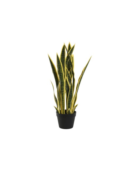 PLANTA PE PP 30X30X74 SANSEVIERIA VERDE