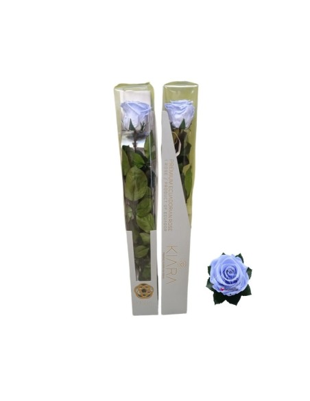 KIARA STEM DISPLAY COOL LAVANDER