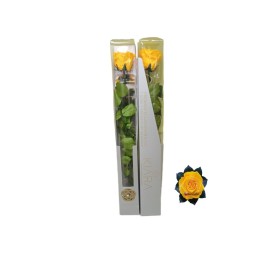 KIARA STEM DISPLAY SUNNY YELLOW