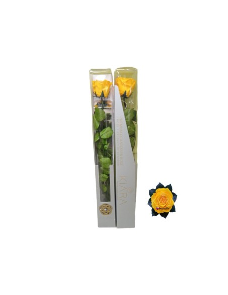 KIARA STEM DISPLAY SUNNY YELLOW