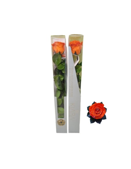 KIARA STEM DISPLAY ORANGE FLAME